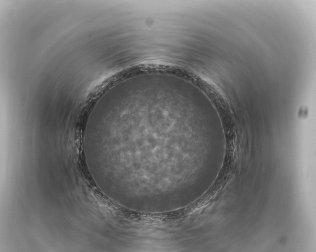 X0000094220870200711021137