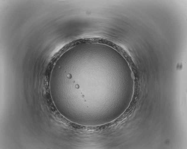 X0000094220871200711021137