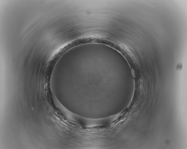 X0000094220872200711021137