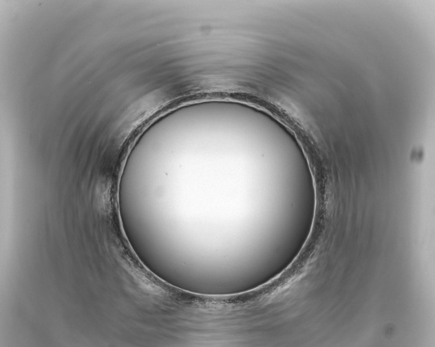 X0000094220873200711021137