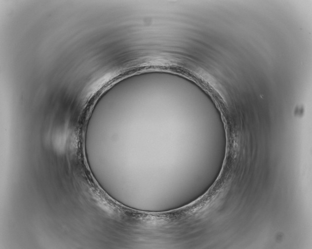 X0000094220874200711021137