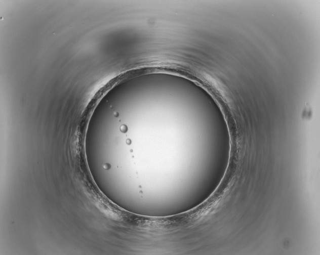 X0000094220875200711021137