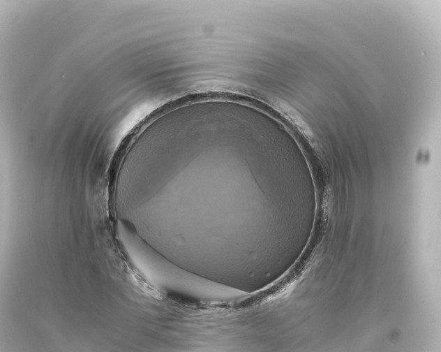 X0000094220877200711021137