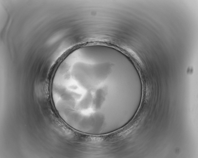 X0000094220878200711021137