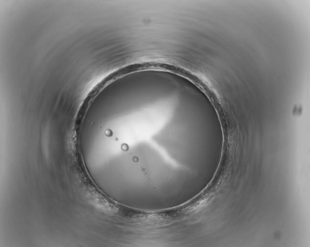 X0000094220879200711021137