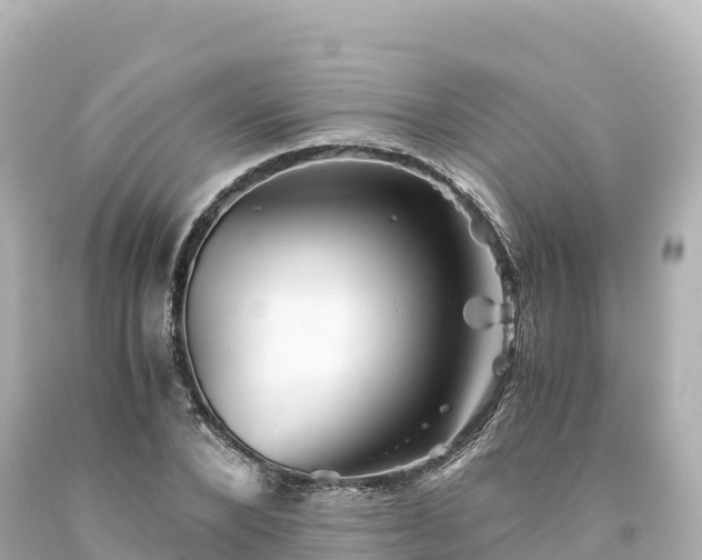 X0000094220880200711021137