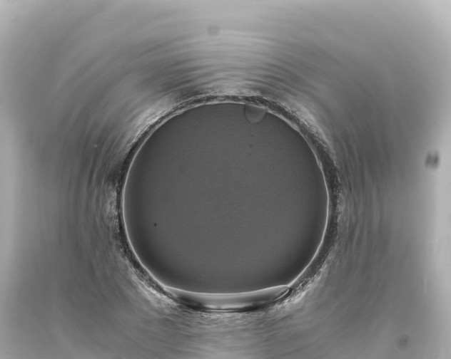 X0000094220881200711021137