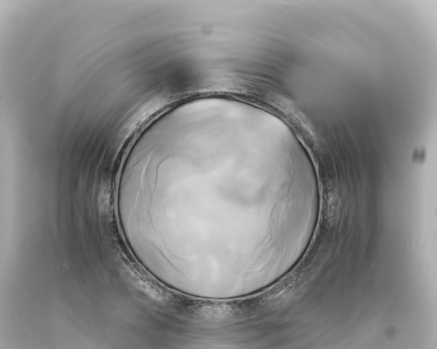 X0000094220882200711021137