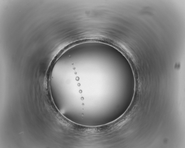 X0000094220883200711021137