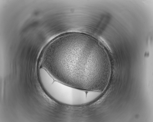 X0000094220884200711021137