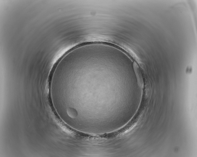 X0000094220885200711021137