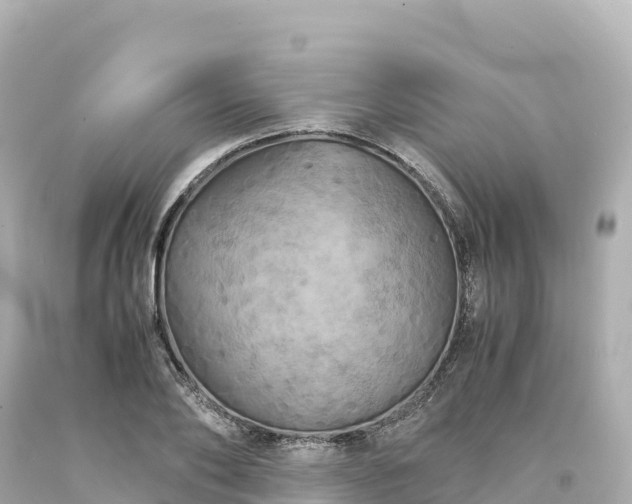 X0000094220886200711021137