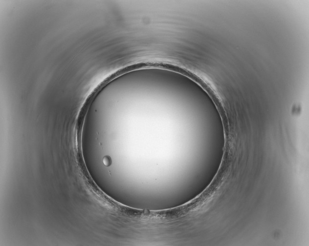 X0000094220887200711021137