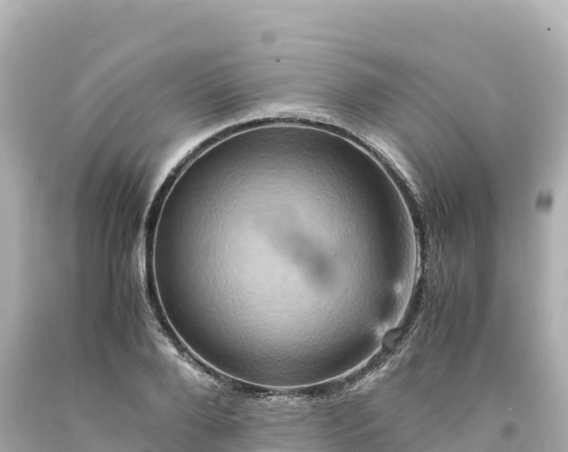 X0000094220888200711021137