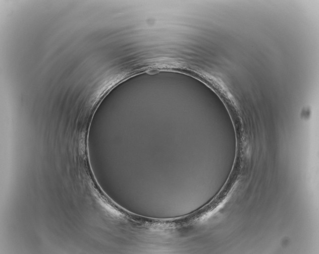 X0000094220889200711021137