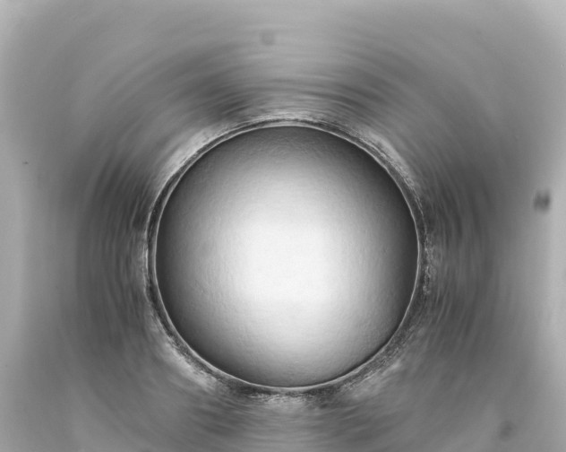 X0000094220890200711021137