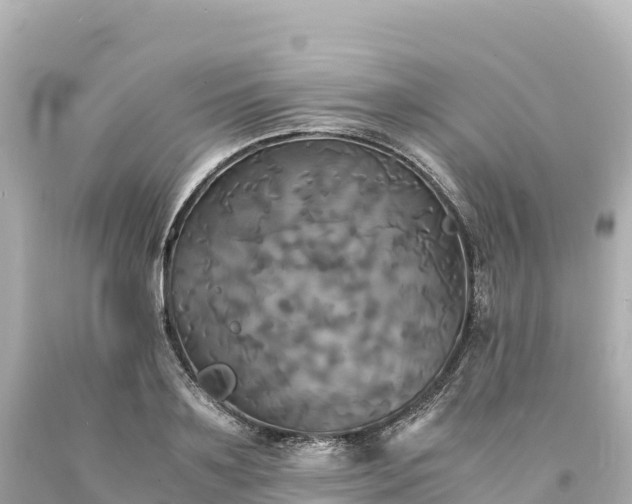 X0000094220891200711021137