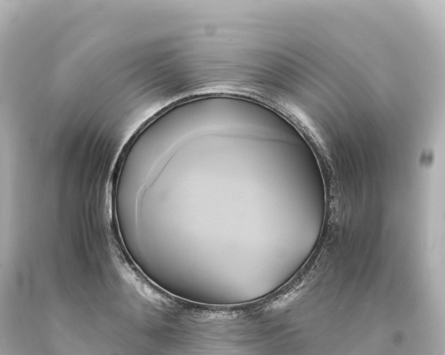 X0000094220892200711021137