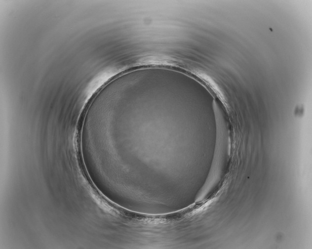 X0000094220893200711021137