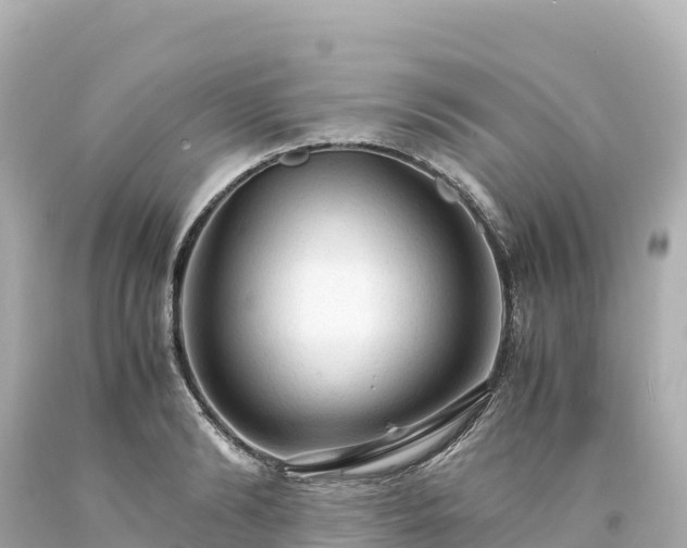 X0000094220894200711021137