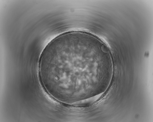 X0000094220895200711021137