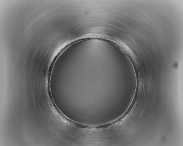 X0000094220896200711021137