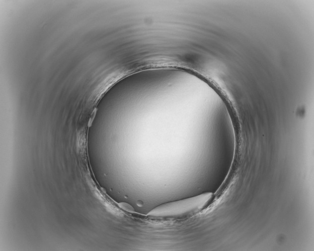 X0000094220897200711021137