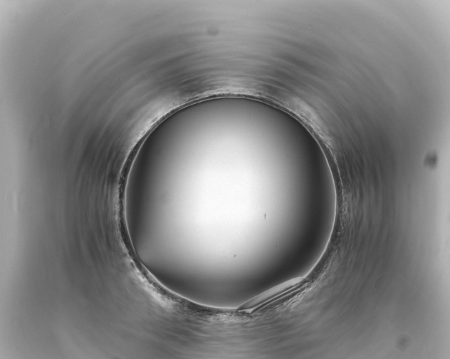 X0000094220898200711021137