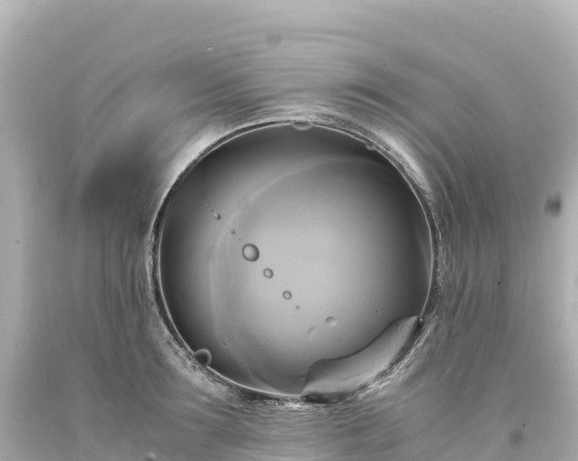 X0000094220899200711021137