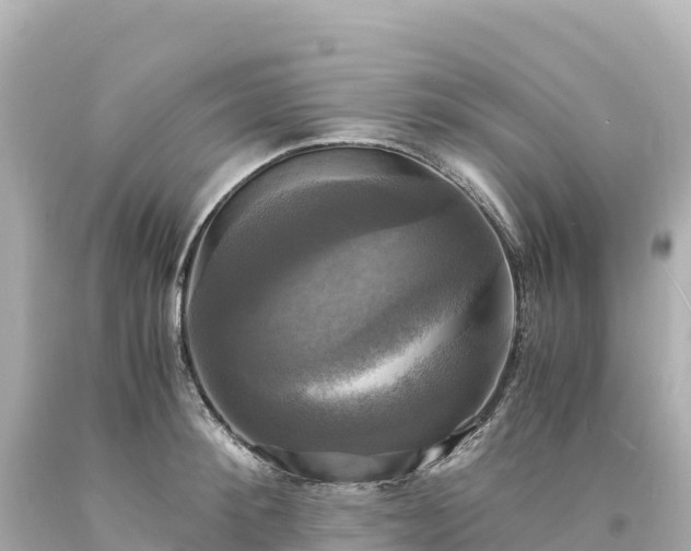 X0000094220900200711021137