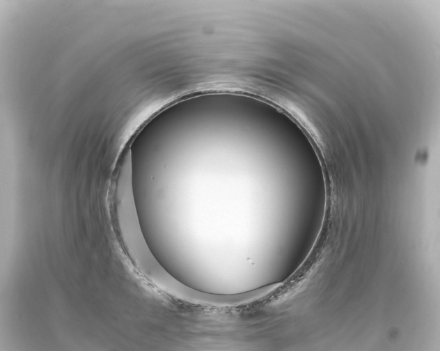 X0000094220901200711021137