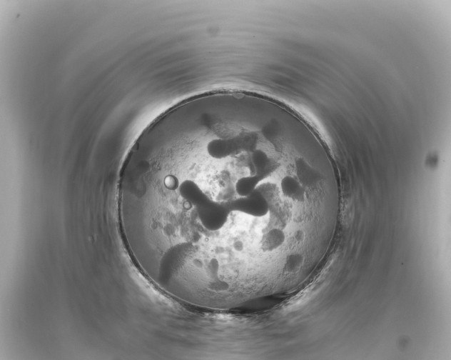 X0000094220903200711021137