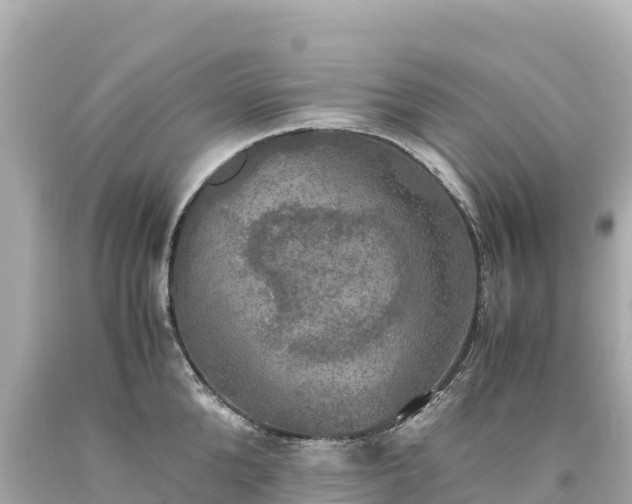 X0000094220904200711021136