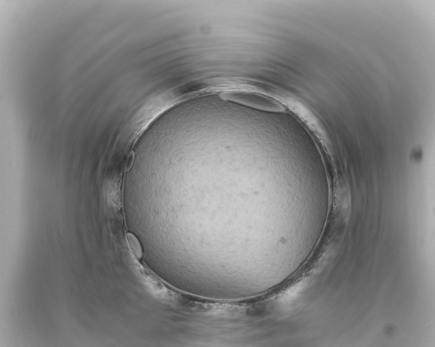 X0000094220905200711021136