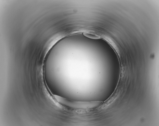 X0000094220906200711021136