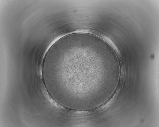 X0000094220908200711021136