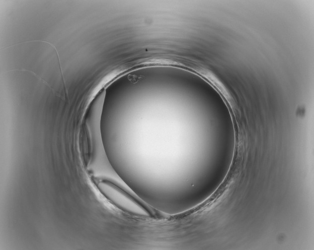 X0000094220909200711021136