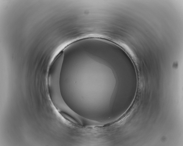 X0000094220910200711021136