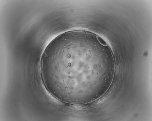 X0000094220911200711021136