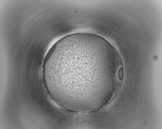 X0000094220912200711021136