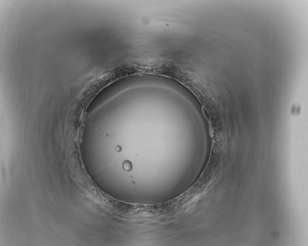 X0000094220913200711021136