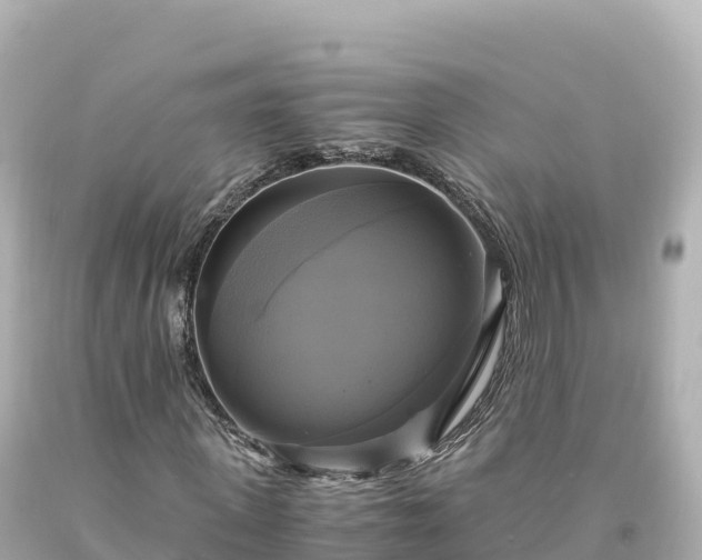 X0000094220915200711021136