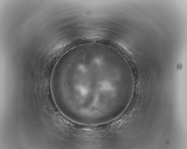 X0000094220917200711021136