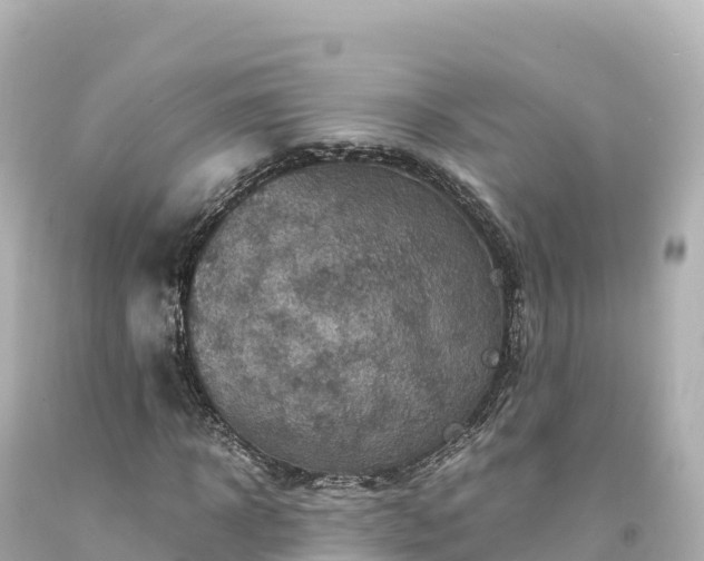 X0000094220918200711021136