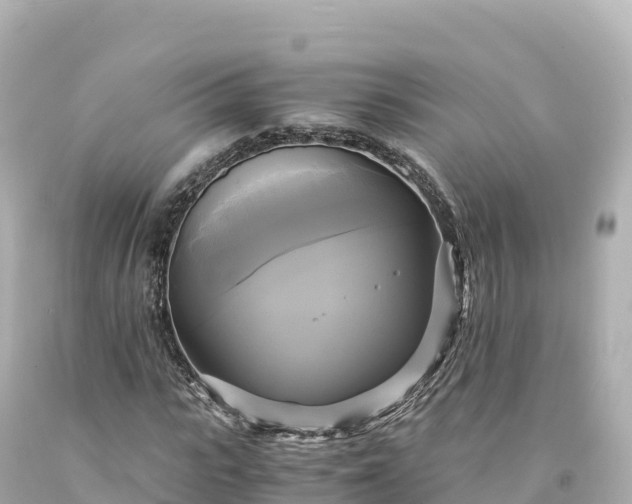 X0000094220919200711021136