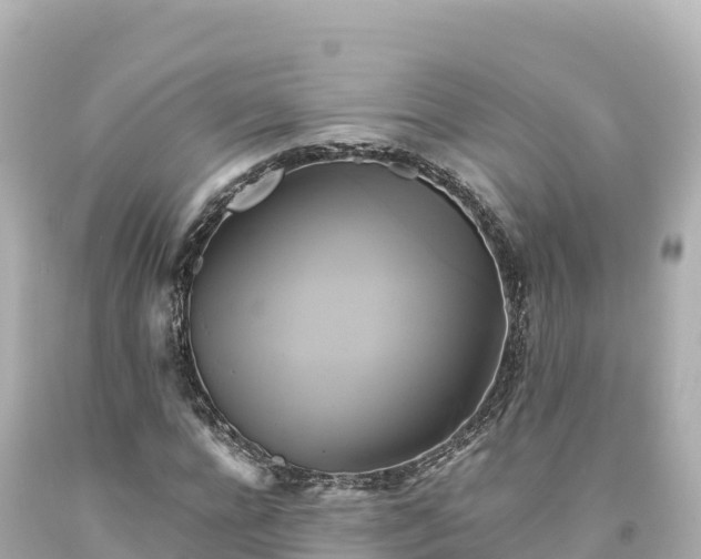 X0000094220920200711021136