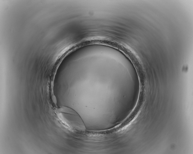 X0000094220921200711021136