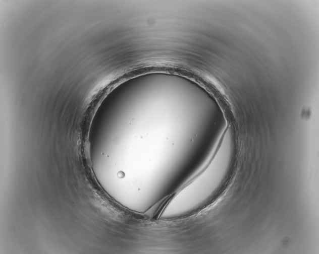 X0000094220922200711021136