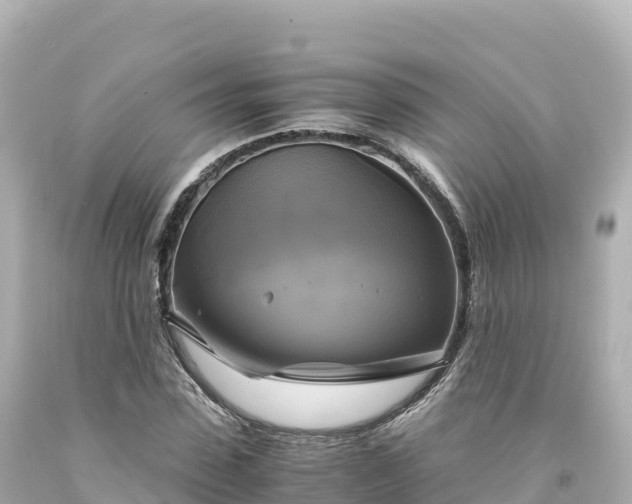 X0000094220923200711021136