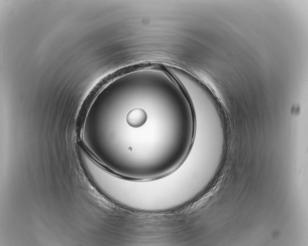 X0000094220924200711021136